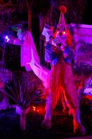 IMG_0008
