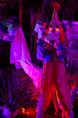 IMG_0009