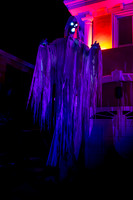 IMG_0010