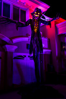 IMG_0012