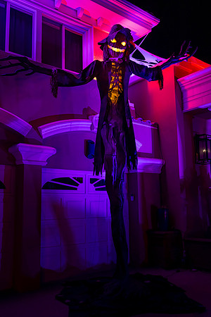 IMG_0012