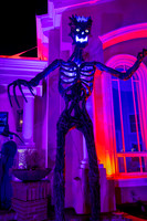 IMG_0014