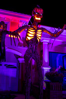 IMG_0013