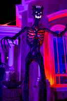 IMG_0015