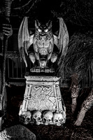 IMG_0019