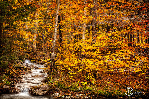 Vermont Fall