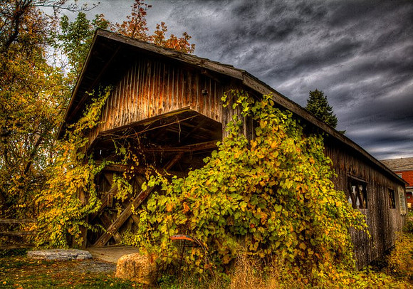 Bridge