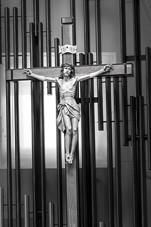 IMG_0258