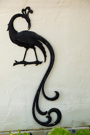 IMG_0514