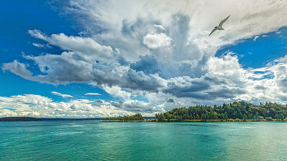 Puget Sound, WA