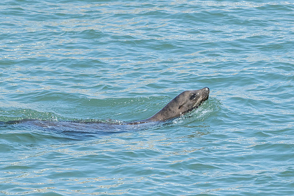 IMG_0254