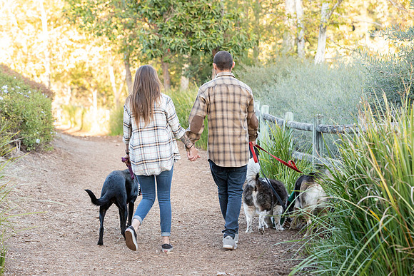 img_1442