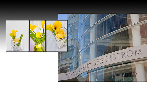 Page Galleryª v4.06