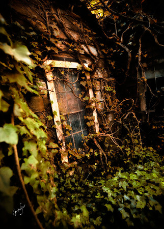 Hobbit House