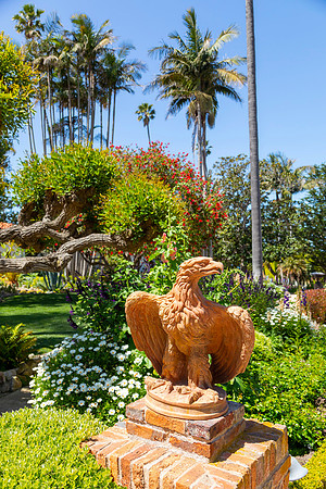 IMG_0216
