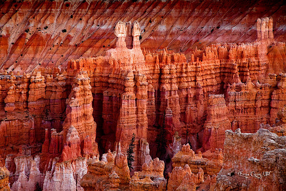 Bryce Canyon, UT