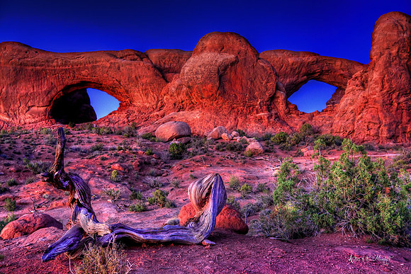Arches National Park @ Midnight