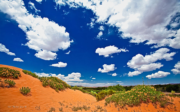 Coral Pink Sand Dunes